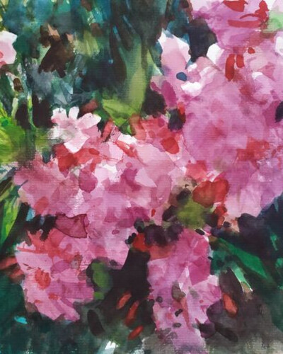 Цветочный этюд. . © Точин Алексей.