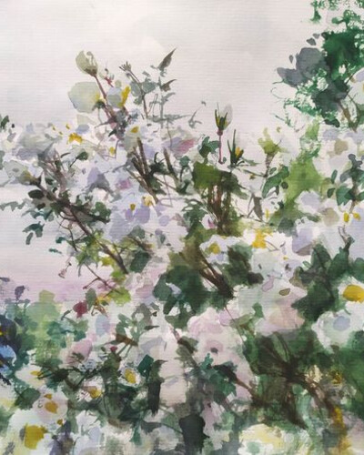 Этюд акварелью. . © Точин Алексей.
