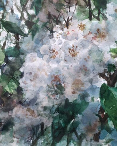 Этюд акварелью. . © Точин Алексей.