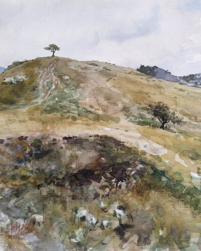 Этюд акварелью. . © Точин Алексей.